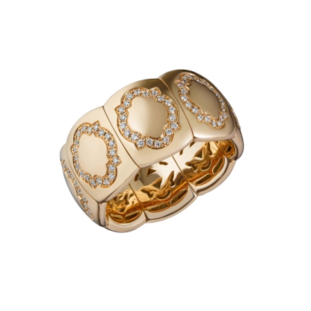 Anello fascia elastica con scudi