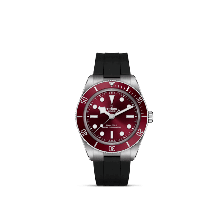 Black Bay 58