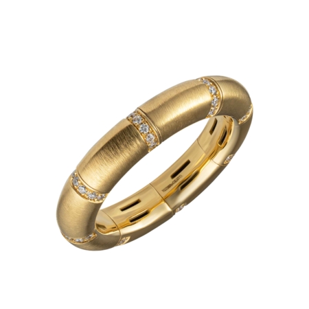 Anello elastico